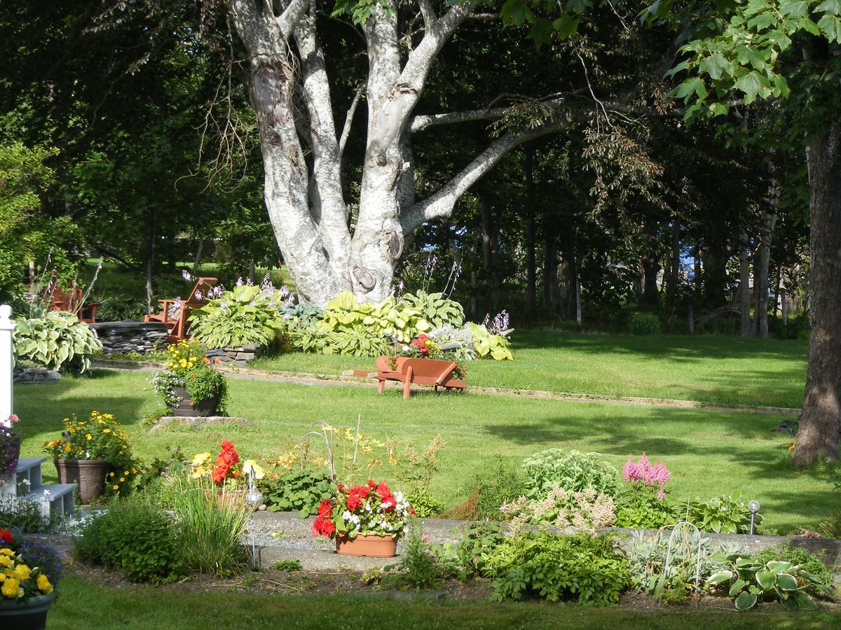 Rothesay House Heritage Inn B&B Harbour Grace Luaran gambar