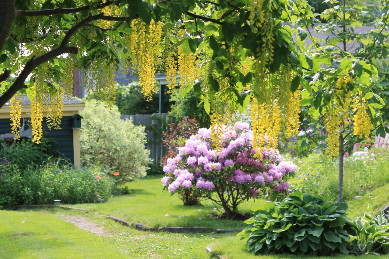 Rothesay House Heritage Inn B&B Harbour Grace Luaran gambar