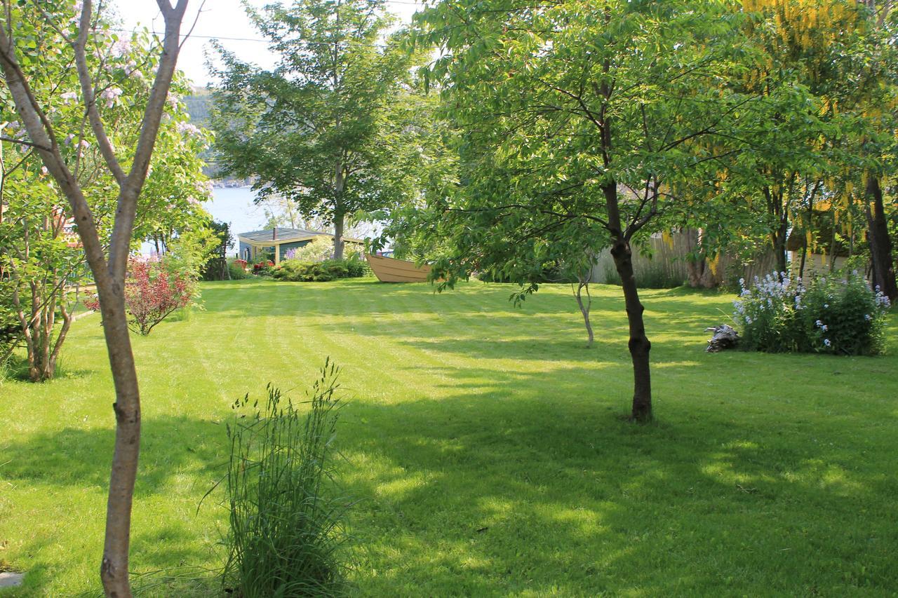 Rothesay House Heritage Inn B&B Harbour Grace Luaran gambar